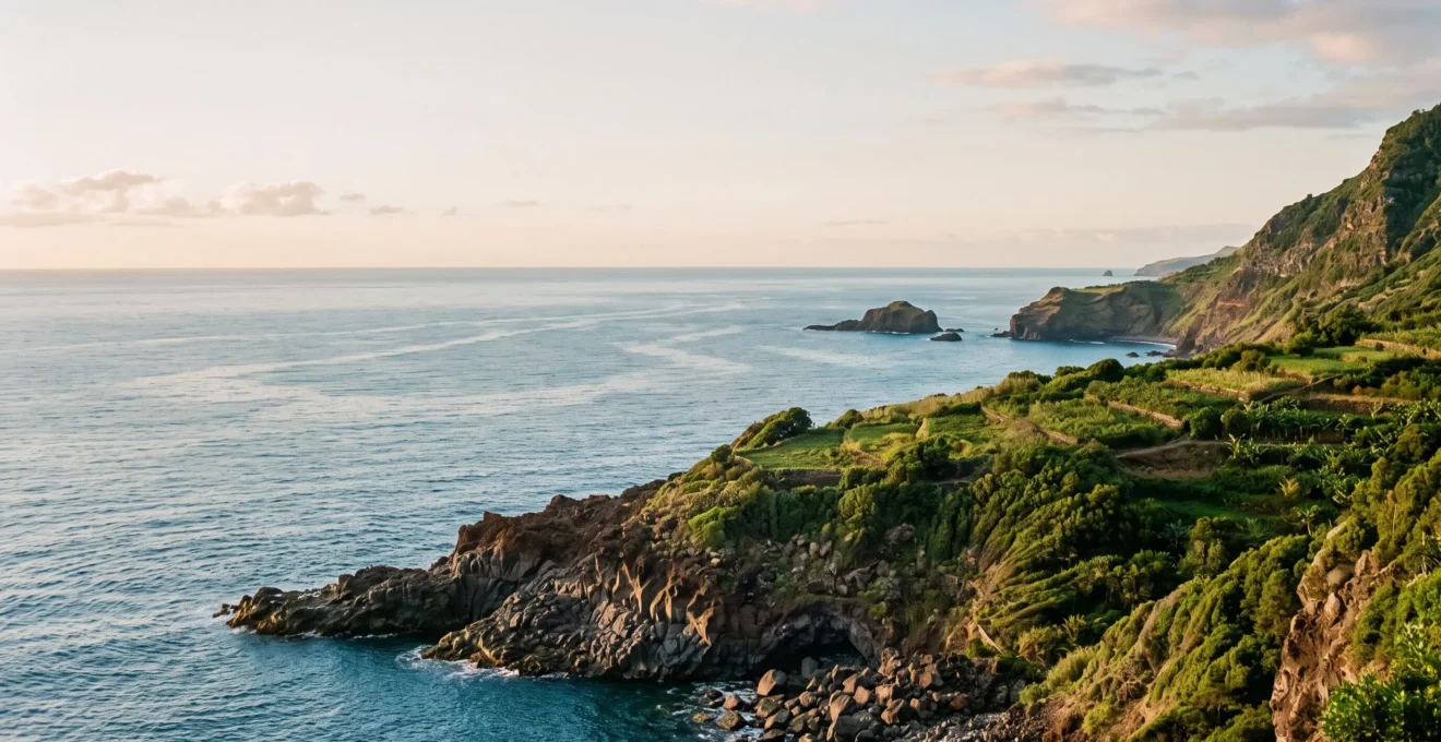 Paysage côtier des îles Canaries au lever du soleil, alliant falaises volcaniques noires, végétation luxuriante et océan Atlantique apaisé, symbole d'une semaine de détente totale