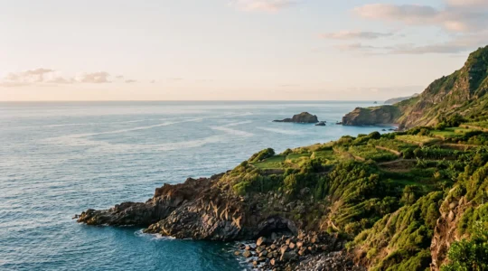 Paysage côtier des îles Canaries au lever du soleil, alliant falaises volcaniques noires, végétation luxuriante et océan Atlantique apaisé, symbole d'une semaine de détente totale