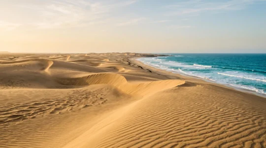Vue panoramique editoriale d'un desert de dunes dorees aux Canaries borde par l'ocean Atlantique