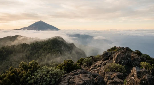Vue panoramique montrant la diversité des habitats naturels des îles Canaries, du littoral volcanique aride à la forêt de brume en altitude