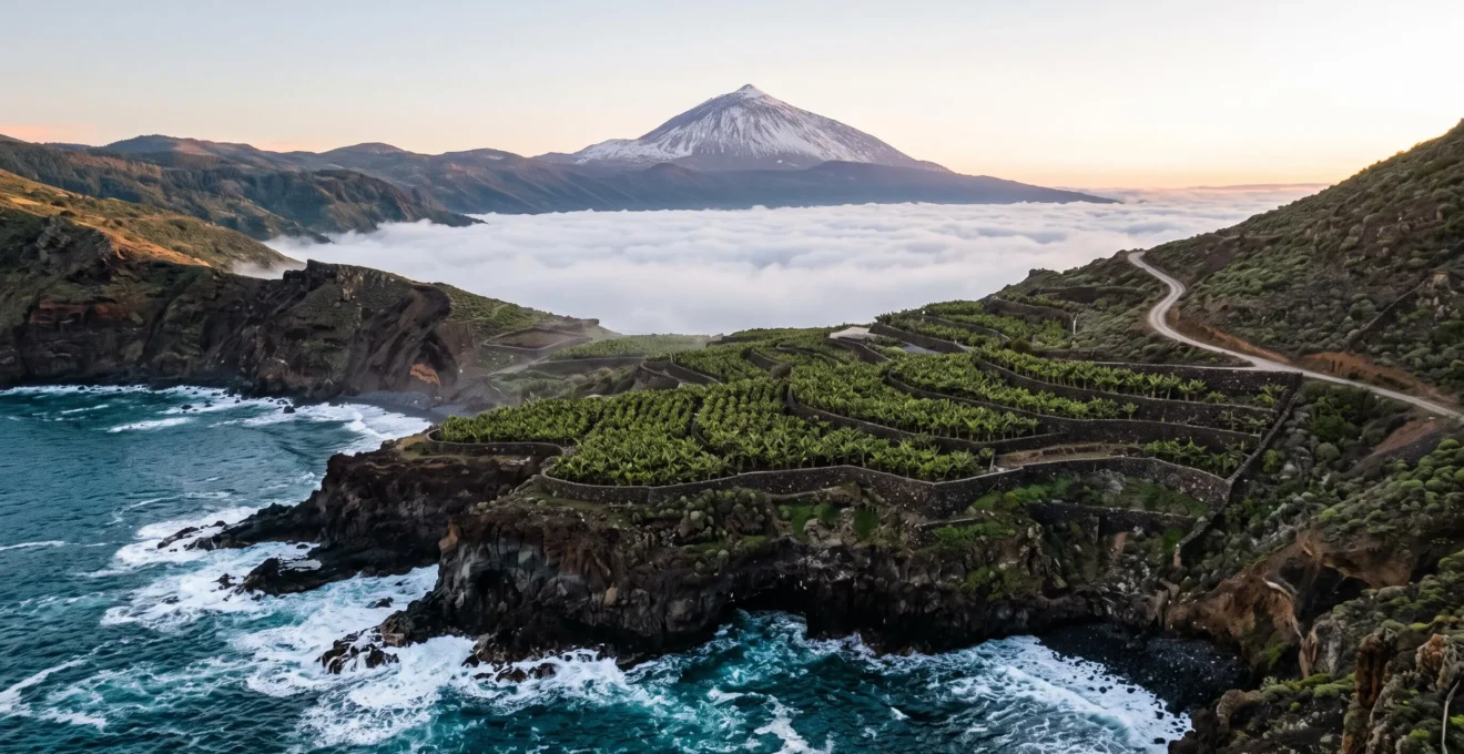 Vue panoramique editoriale illustrant le contraste entre la cote volcanique noire de Tenerife et le sommet enneige du Teide au loin